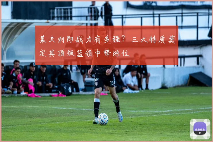 莱夫利即战力有多强？三大特质奠定其顶级蓝领中锋地位