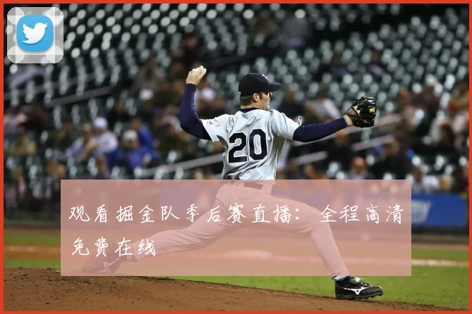 观看掘金队季后赛直播：全程高清免费在线