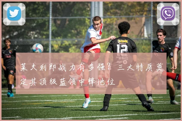 莱夫利即战力有多强?三大特质奠定其顶级蓝领中锋地位