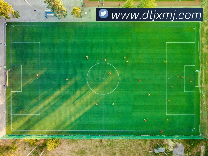 乐鱼体育官方网站服务体系
